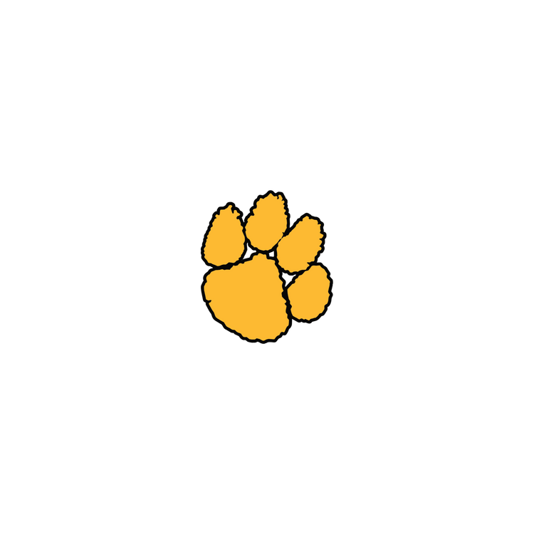 Valdosta Wildcats